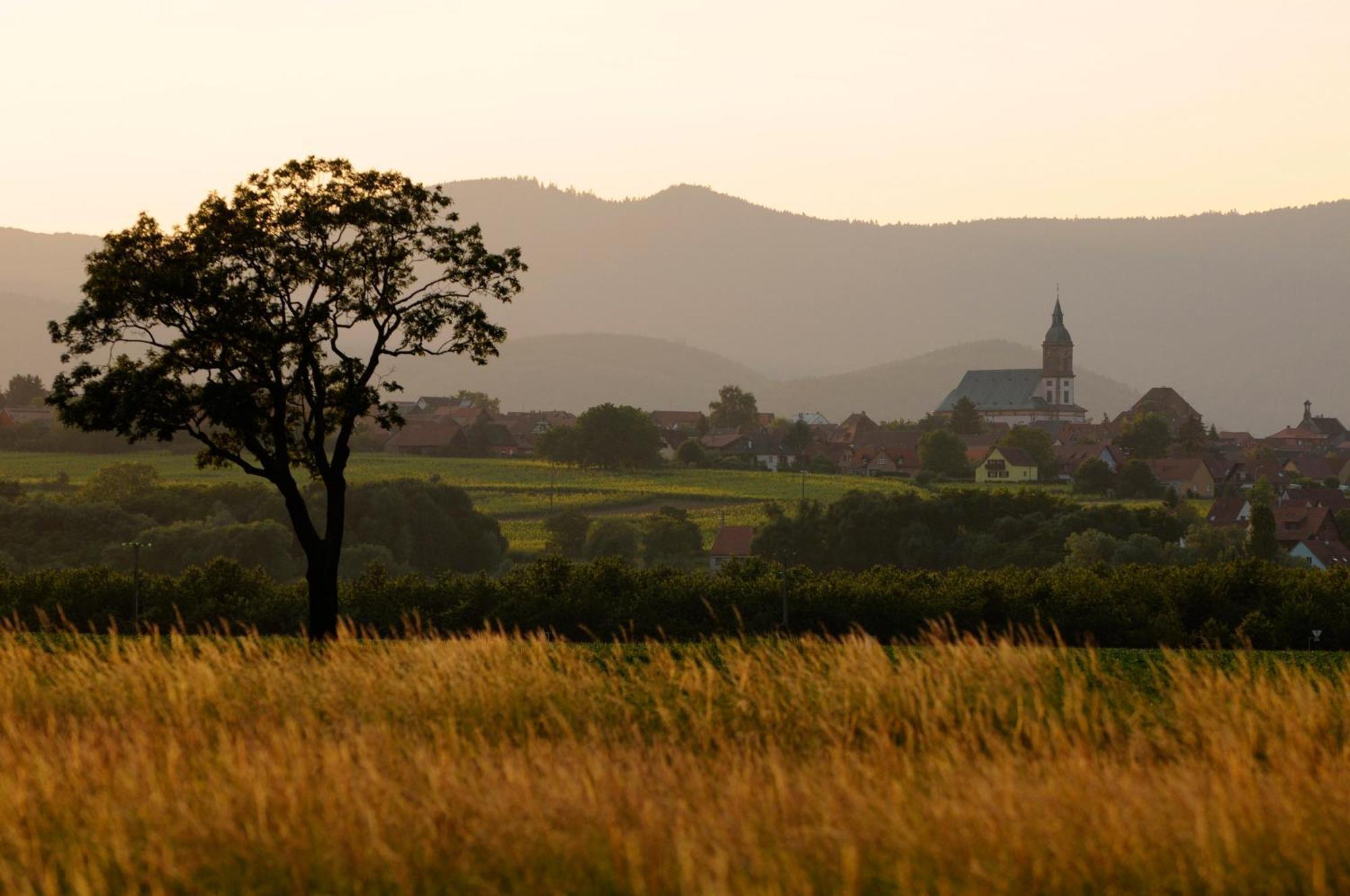 Gite Elouann Familial Spacieux Calme Ebersheim Exteriér fotografie